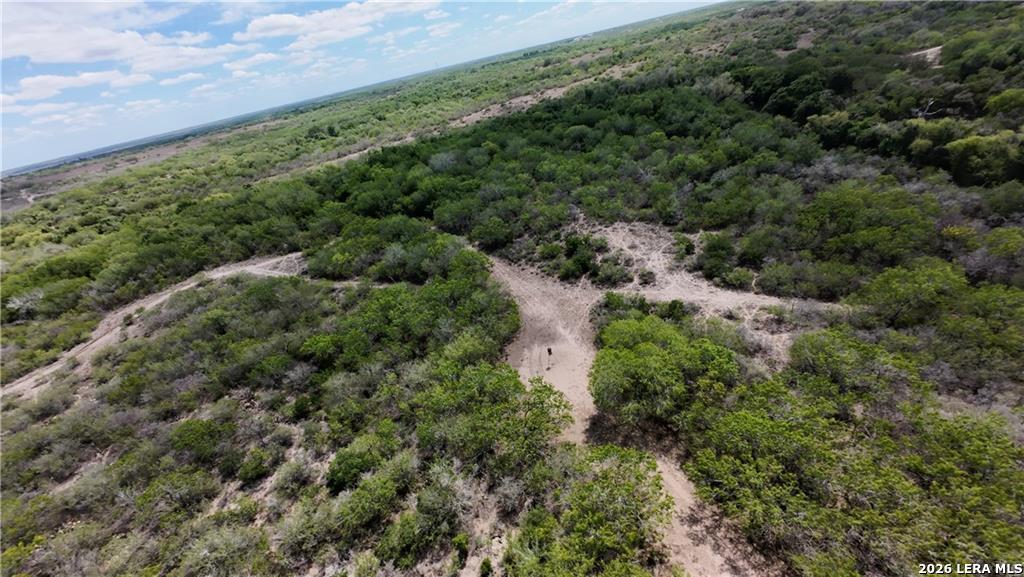 0000 Fm 534 Sandia TX 78383