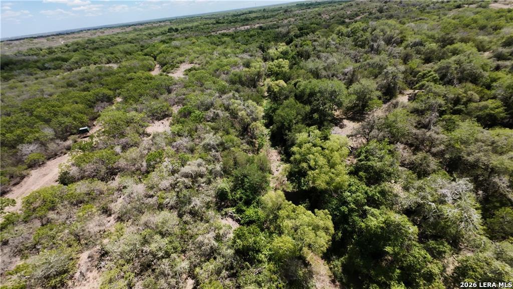 0000 Fm 534 Sandia TX 78383