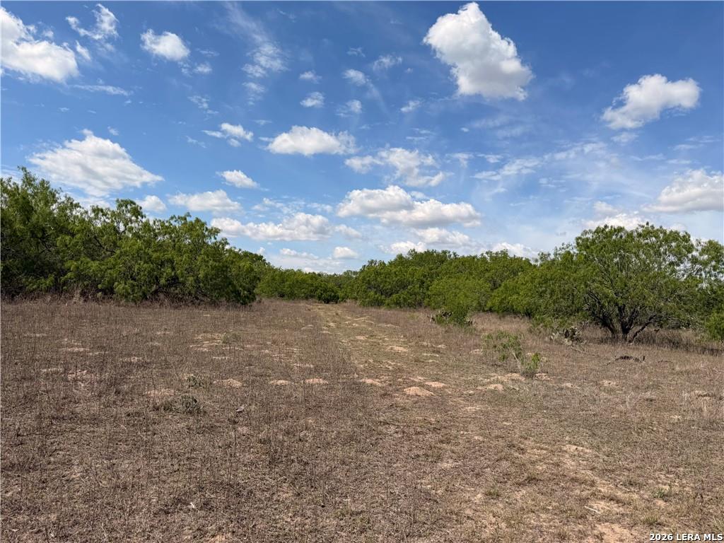 0000 Fm 534 Sandia TX 78383