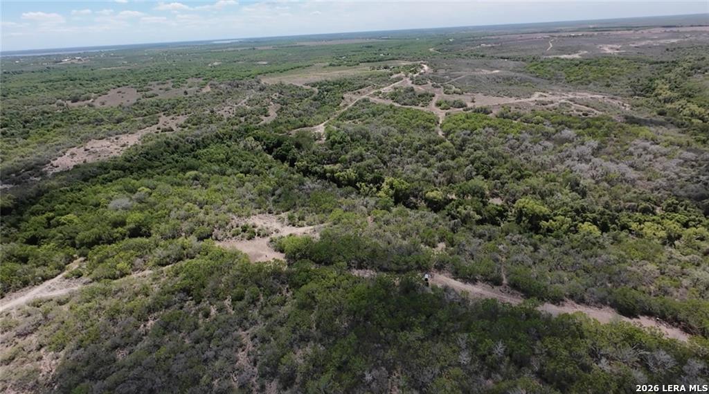 0000 Fm 534 Sandia TX 78383