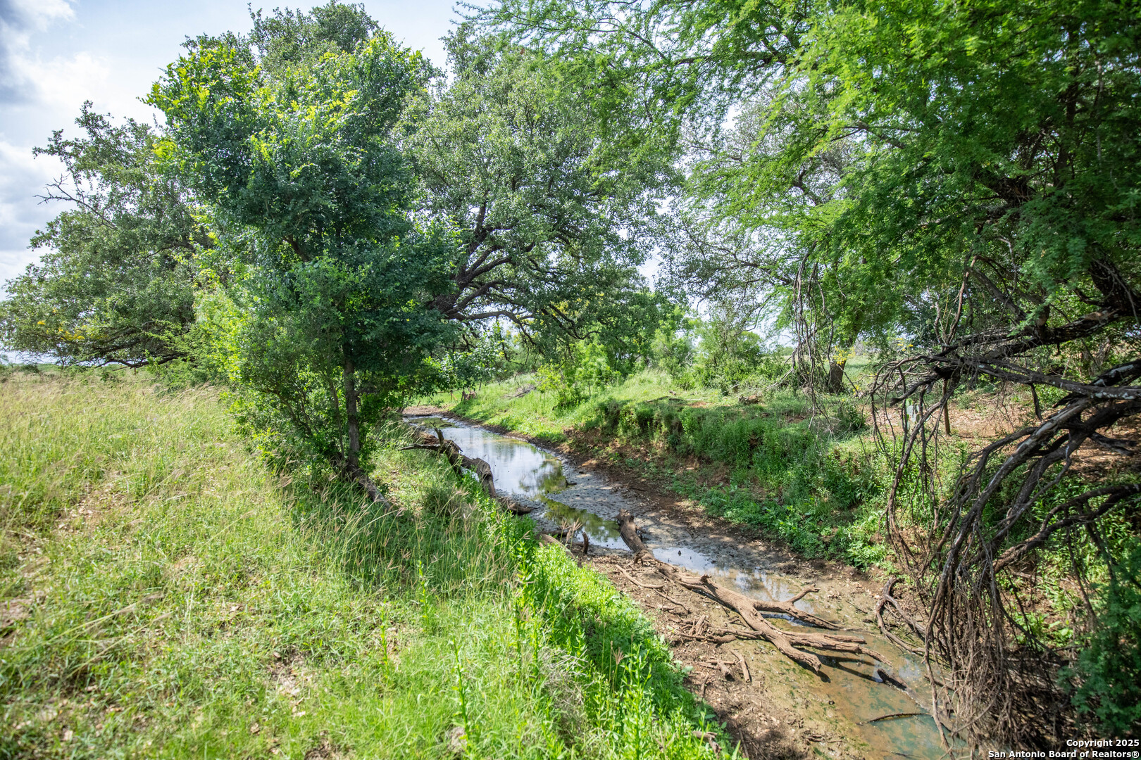 500 Pr Goose Creek Lane Jourdanton TX 78026