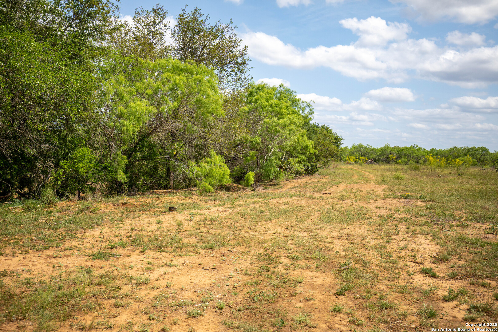 500 Pr Goose Creek Lane Jourdanton TX 78026