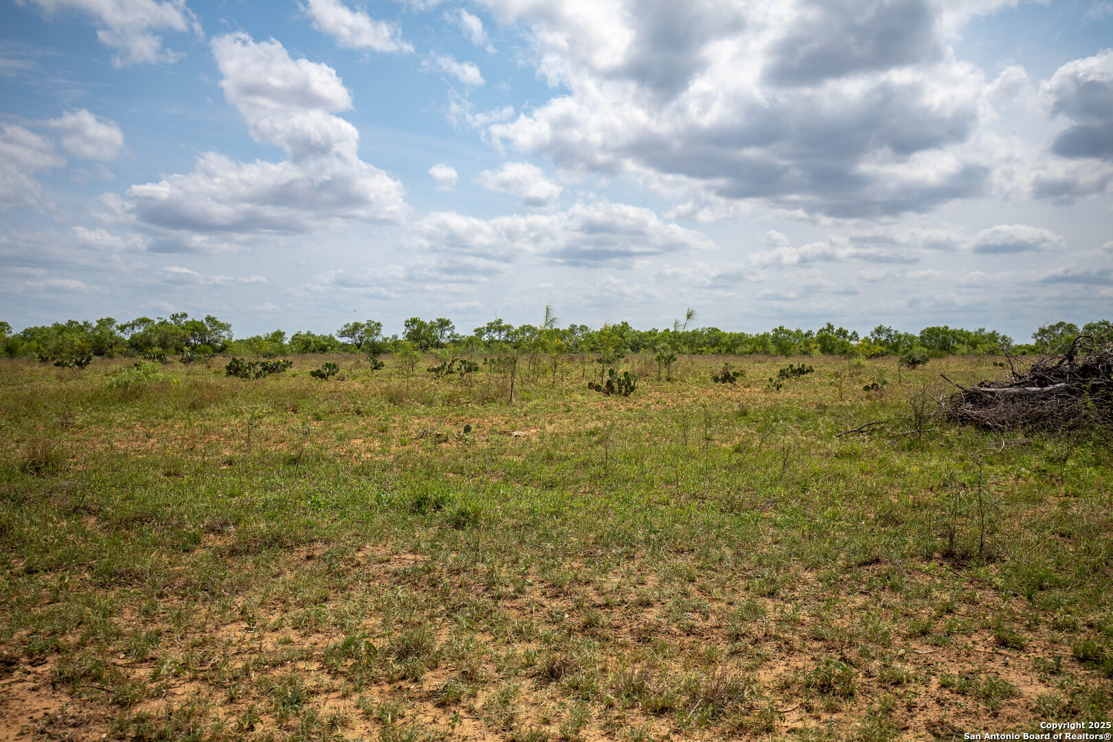 500 Pr Goose Creek Lane Jourdanton TX 78026