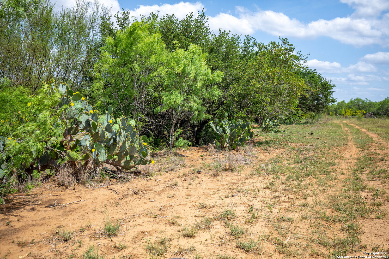 500 Pr Goose Creek Lane Jourdanton TX 78026