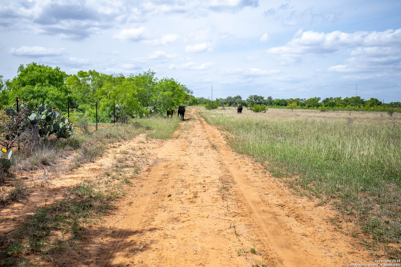 500 Pr Goose Creek Lane Jourdanton TX 78026