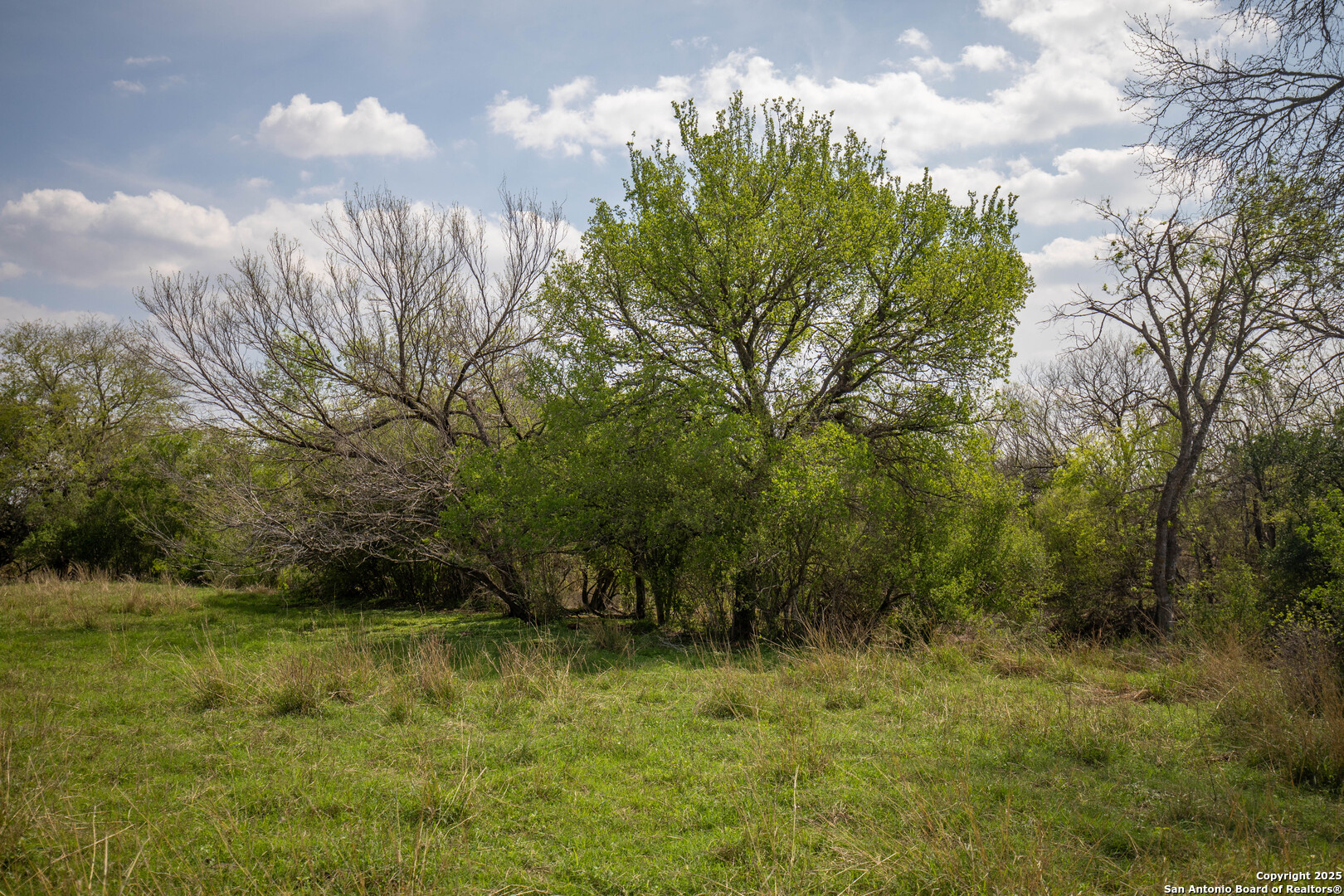 500 Pr Goose Creek Lane Jourdanton TX 78026