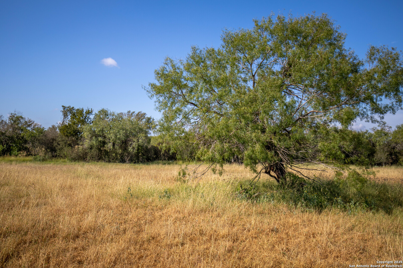 500 Pr Goose Creek Lane Jourdanton TX 78026
