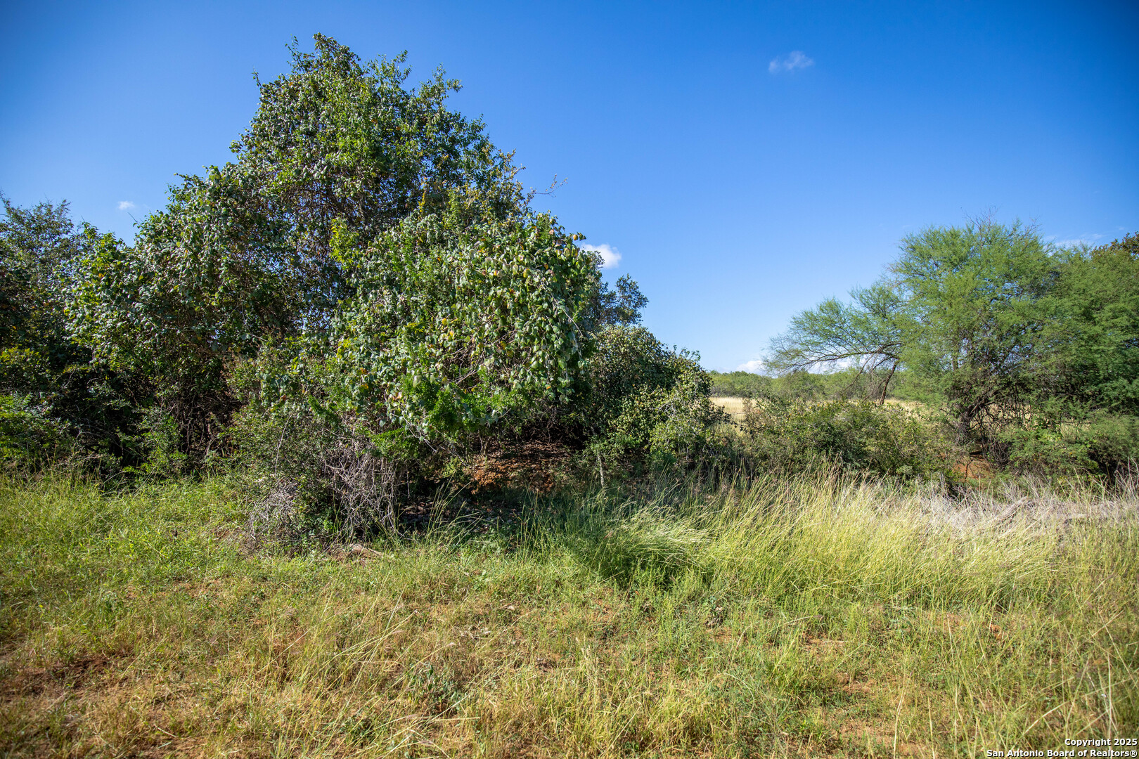500 Pr Goose Creek Lane Jourdanton TX 78026