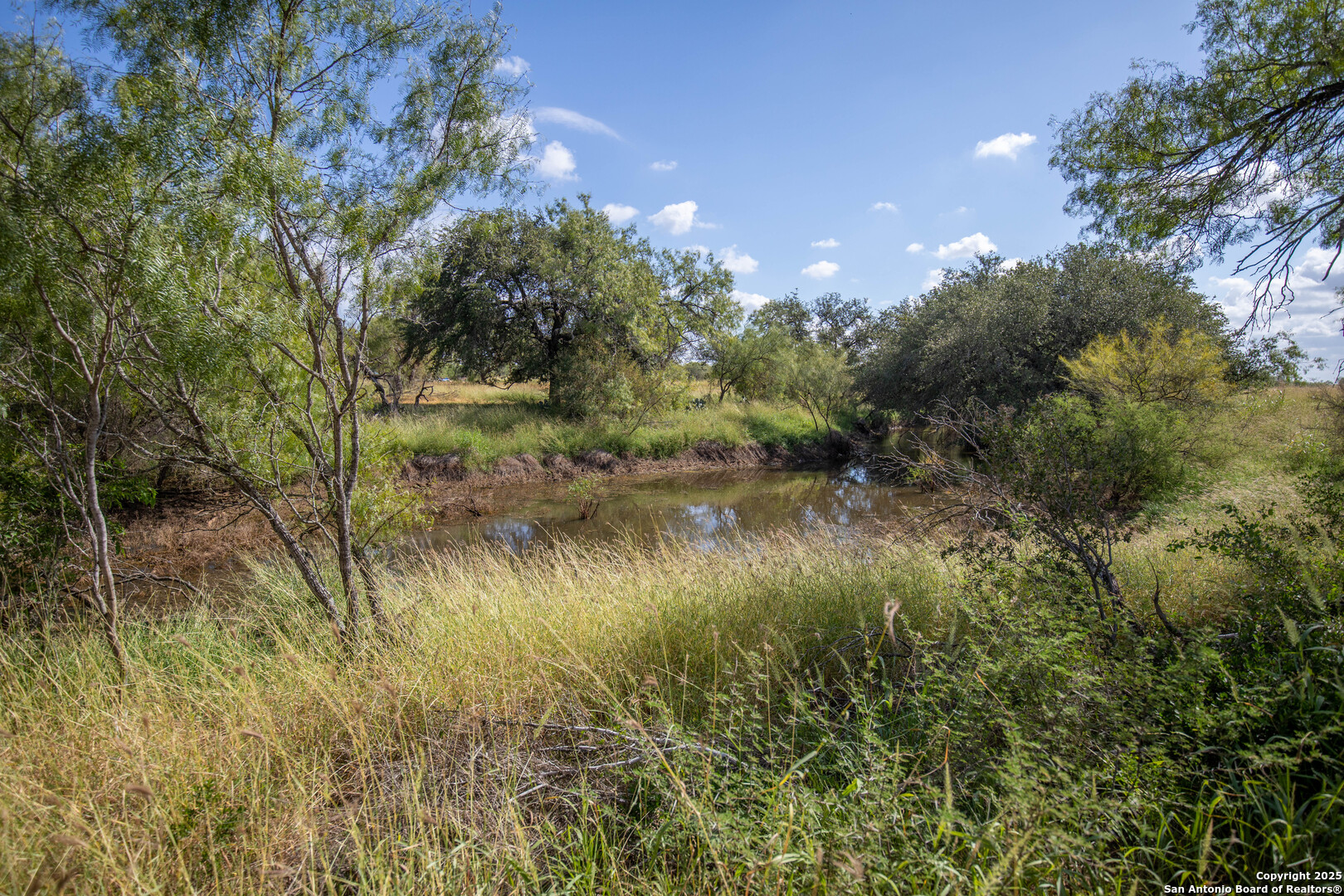 500 Pr Goose Creek Lane Jourdanton TX 78026