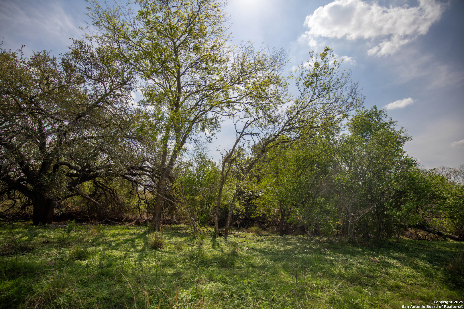 500 Pr Goose Creek Lane Jourdanton TX 78026