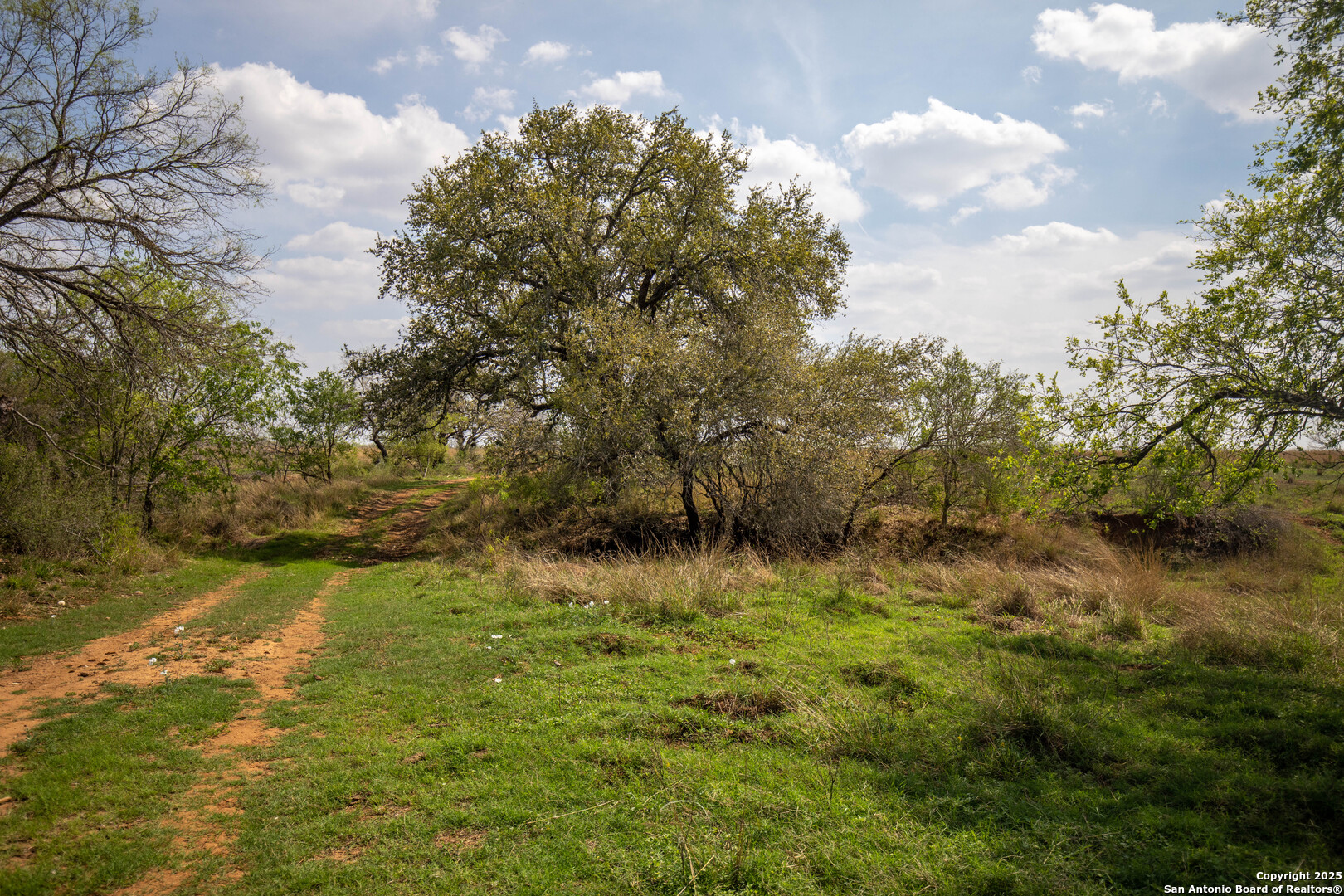 500 Pr Goose Creek Lane Jourdanton TX 78026