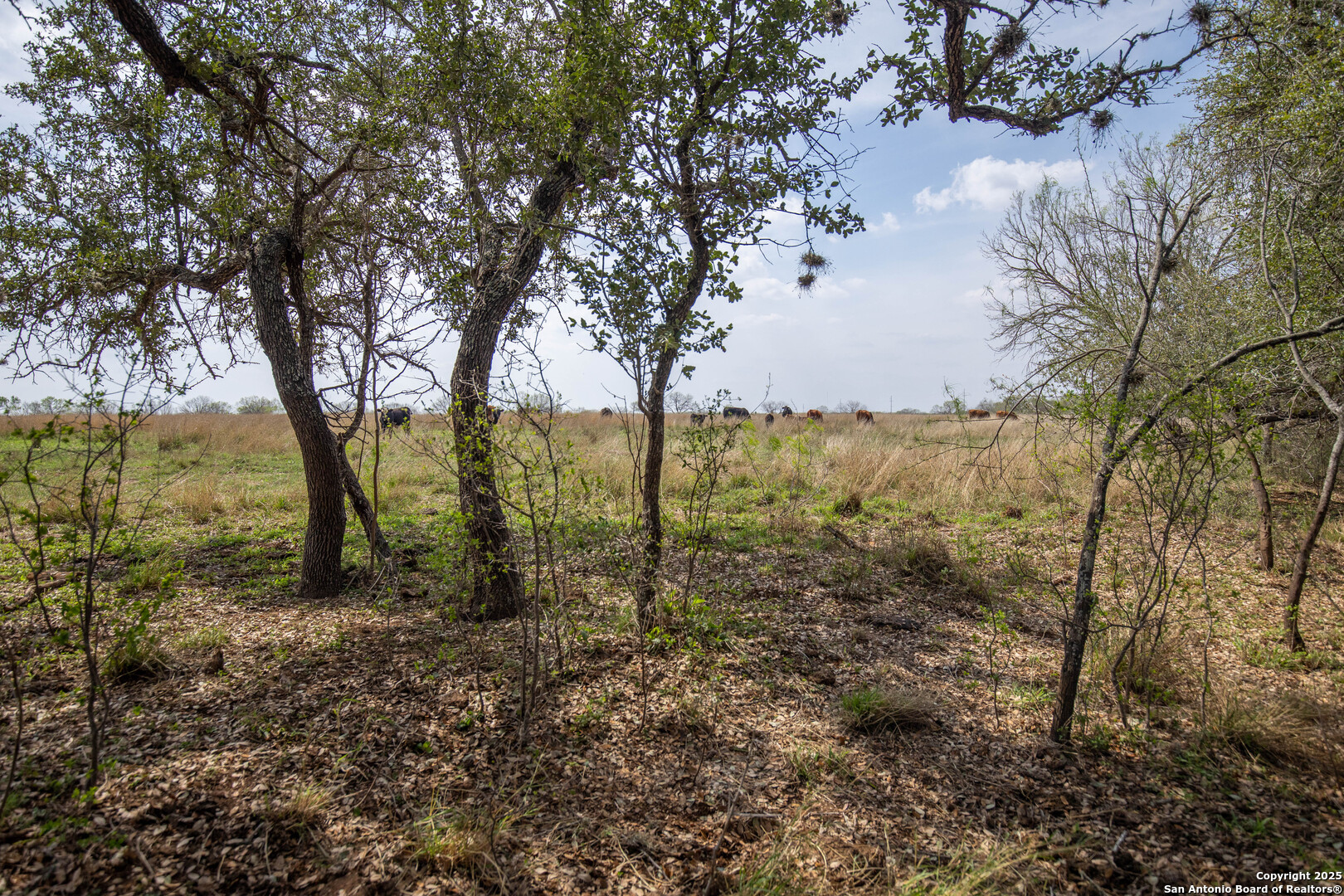 500 Pr Goose Creek Lane Jourdanton TX 78026