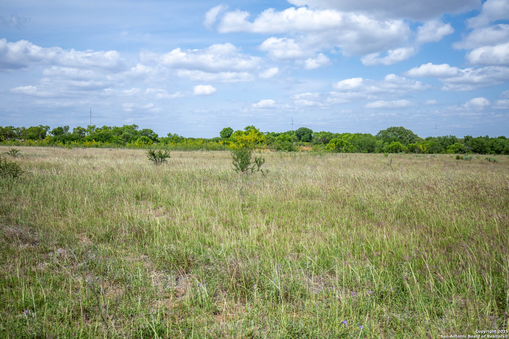 500 Pr Goose Creek Lane Jourdanton TX 78026