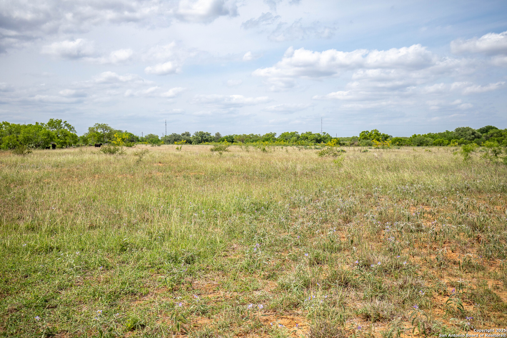 500 Pr Goose Creek Lane Jourdanton TX 78026