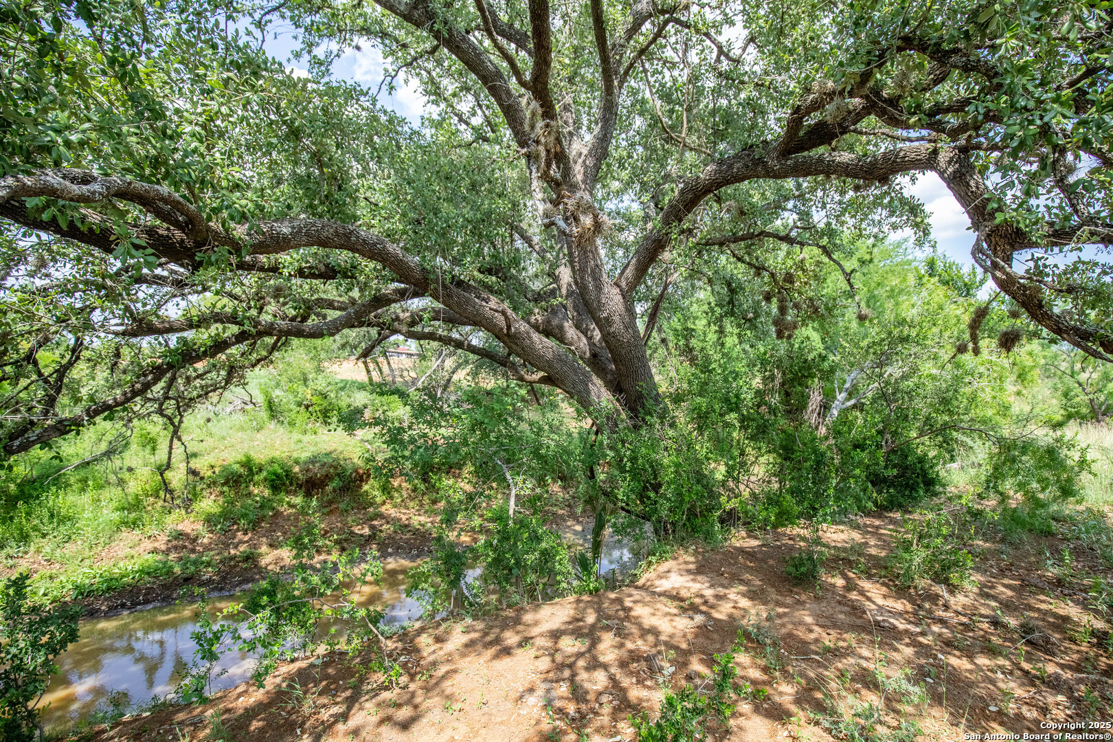 500 Pr Goose Creek Lane Jourdanton TX 78026