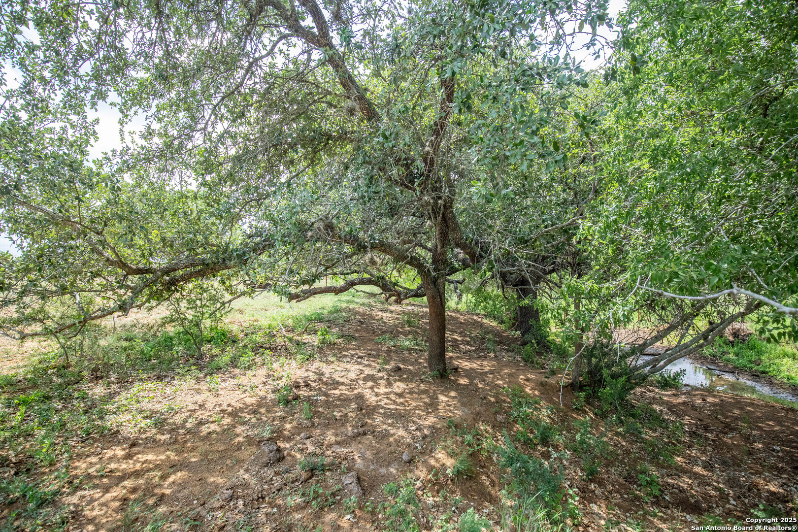 500 Pr Goose Creek Lane Jourdanton TX 78026