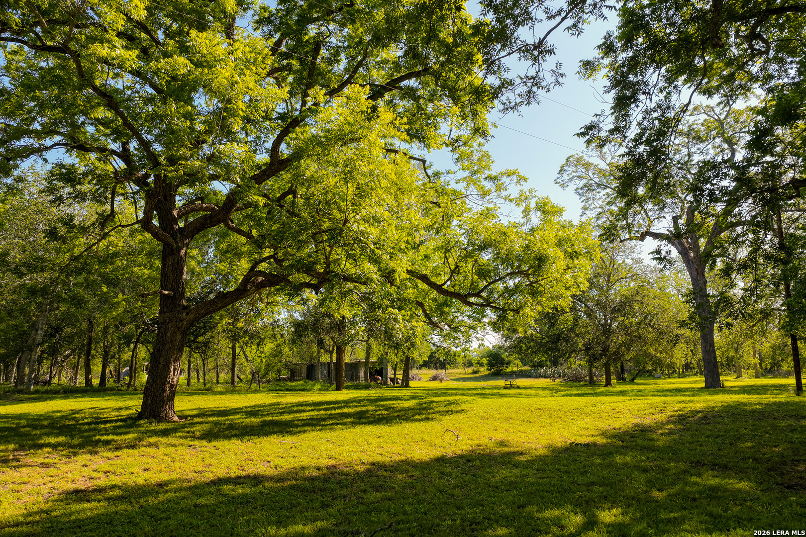 279 Fermin Lane Seguin TX 78155