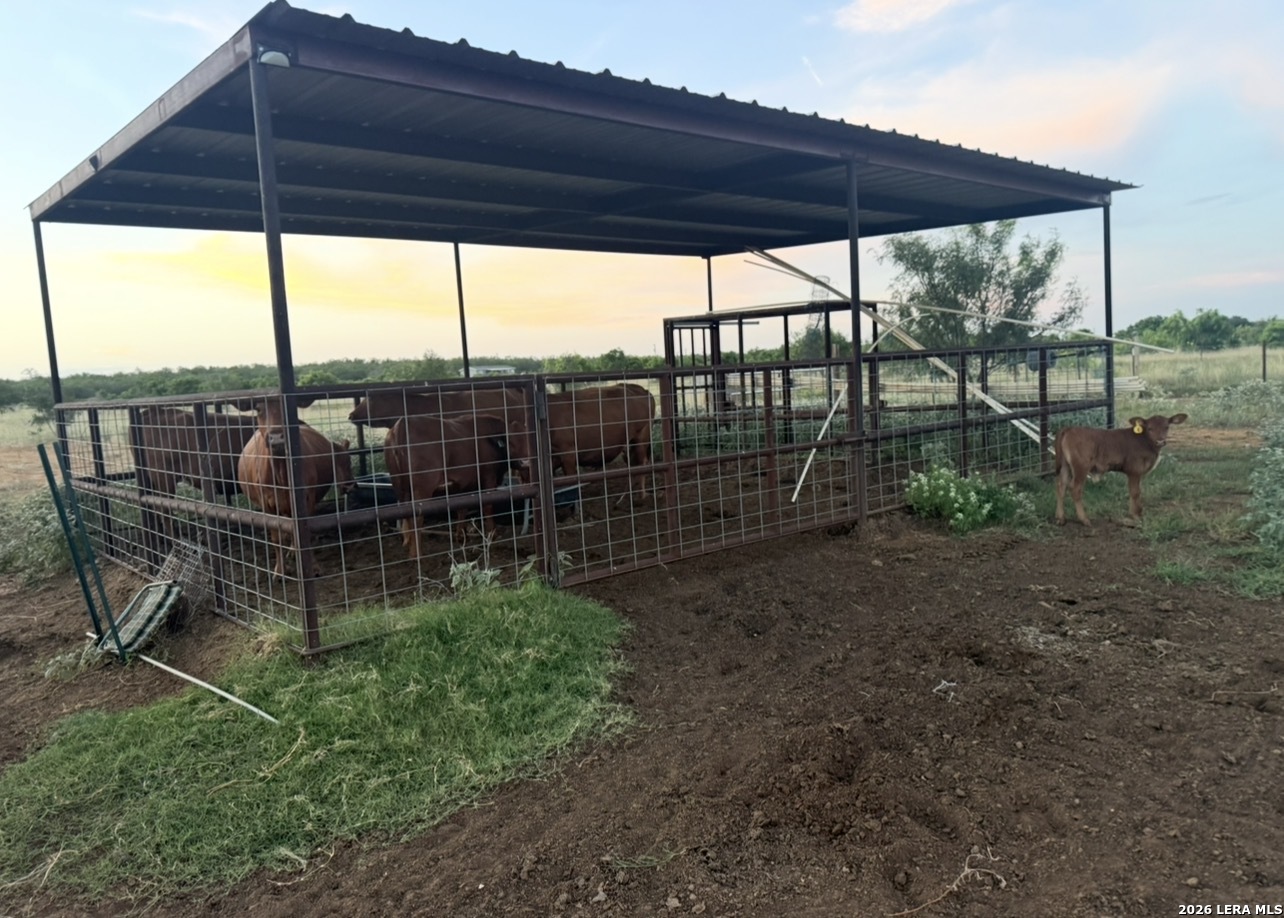 4167 County Road 136 Floresville TX 78114