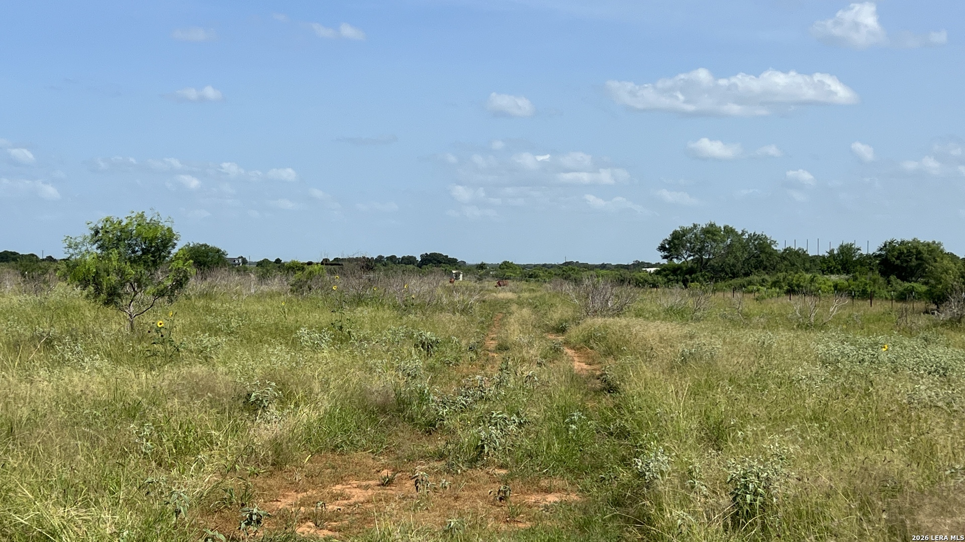 4167 County Road 136 Floresville TX 78114