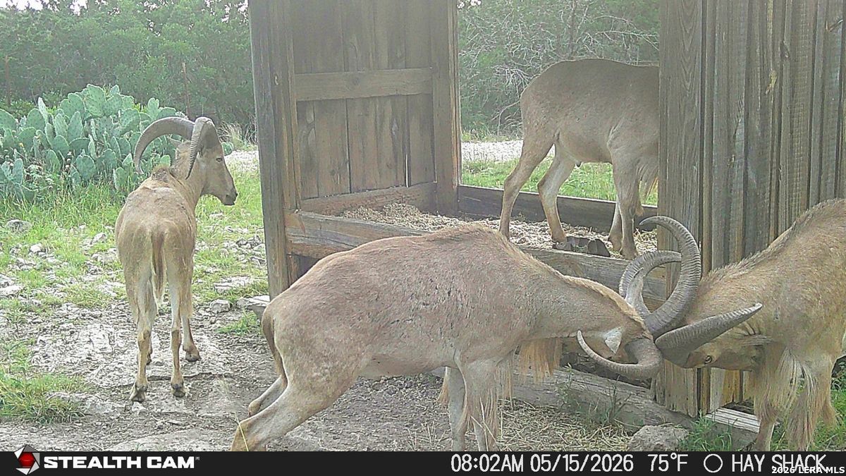 1457 Private Road 3426 Barksdale TX 78828