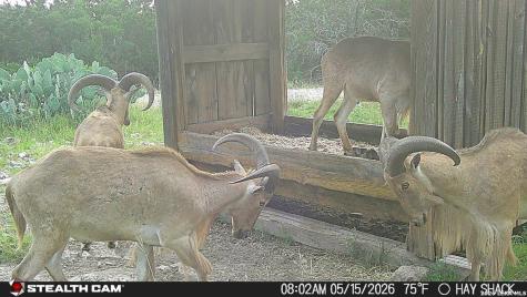 1457 Private Road 3426 Barksdale TX 78828
