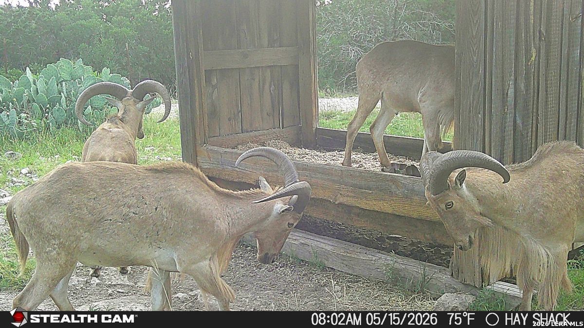 1457 Private Road 3426 Barksdale TX 78828