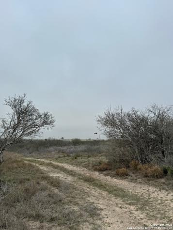 00 S County Road 153 Kenedy TX 78119