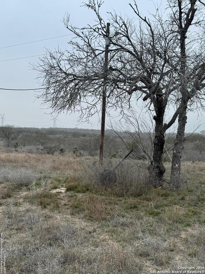 00 S County Road 153 Kenedy TX 78119