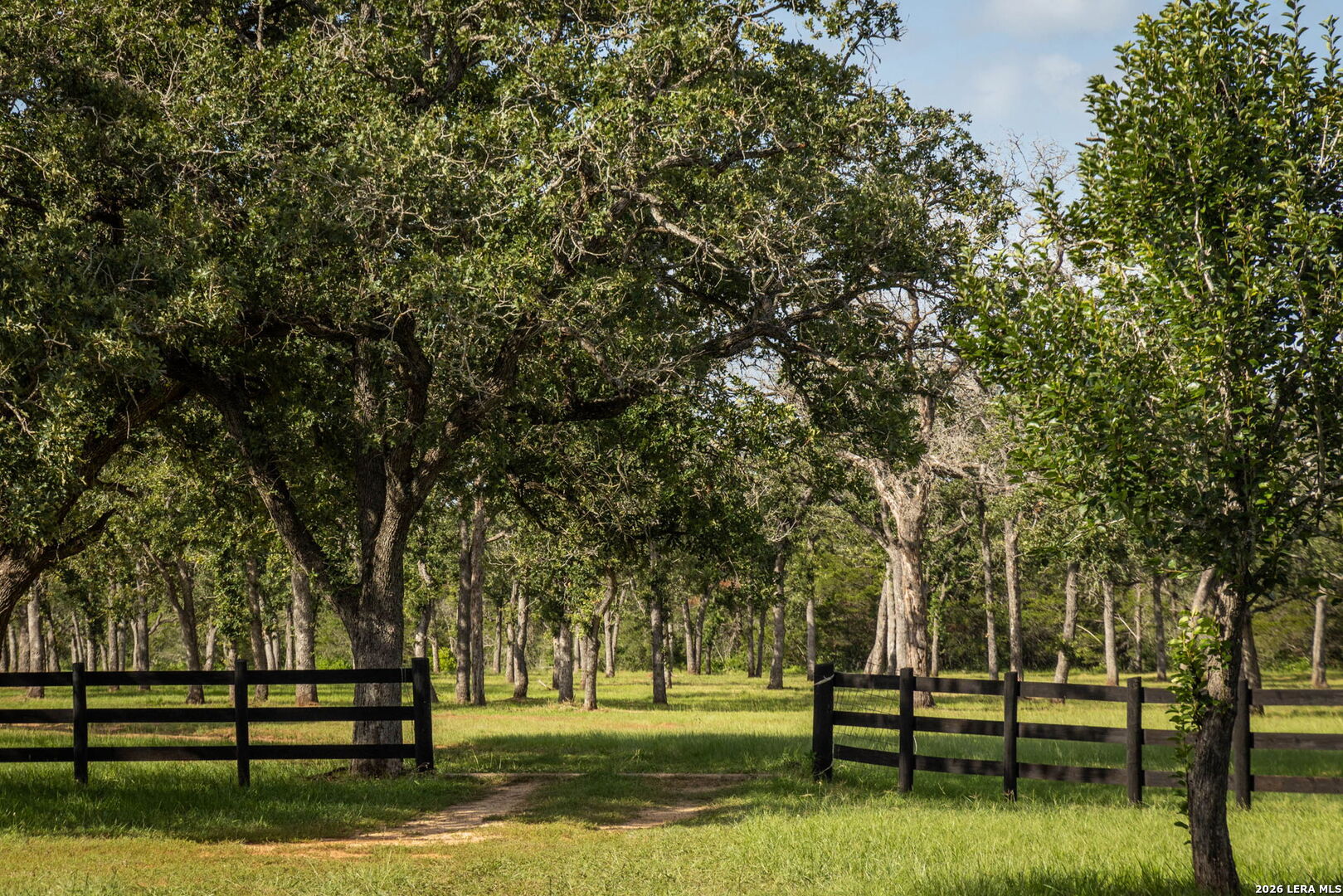 10488 State Highway 304 Harwood TX 78632