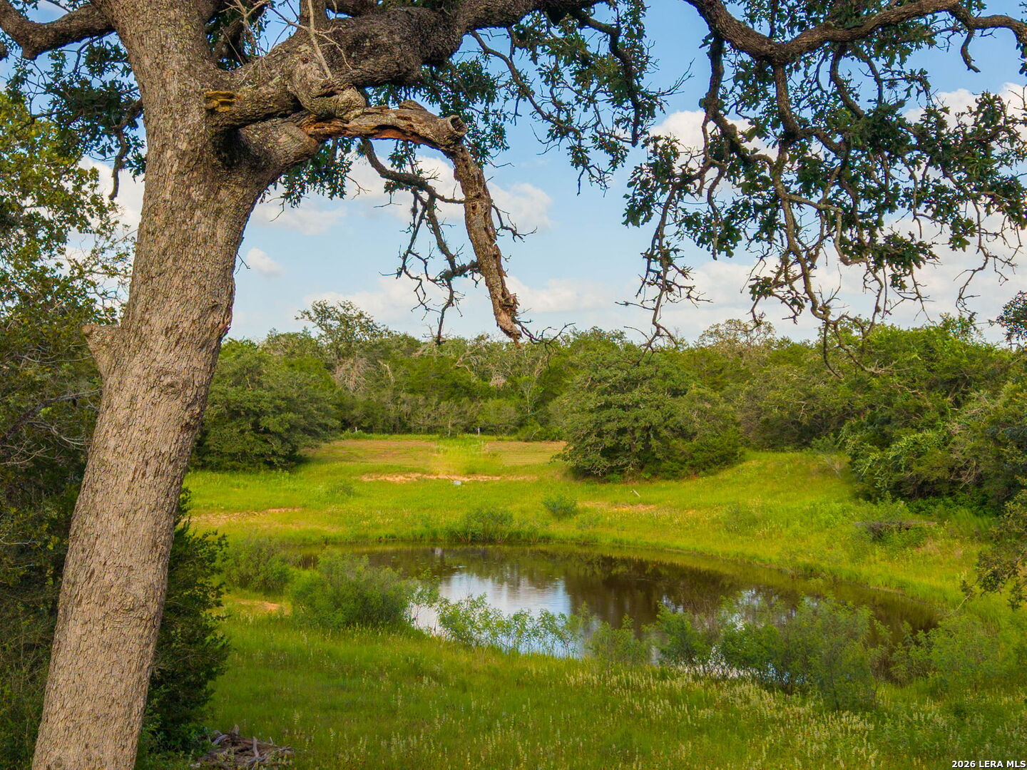 10488 State Highway 304 Harwood TX 78632