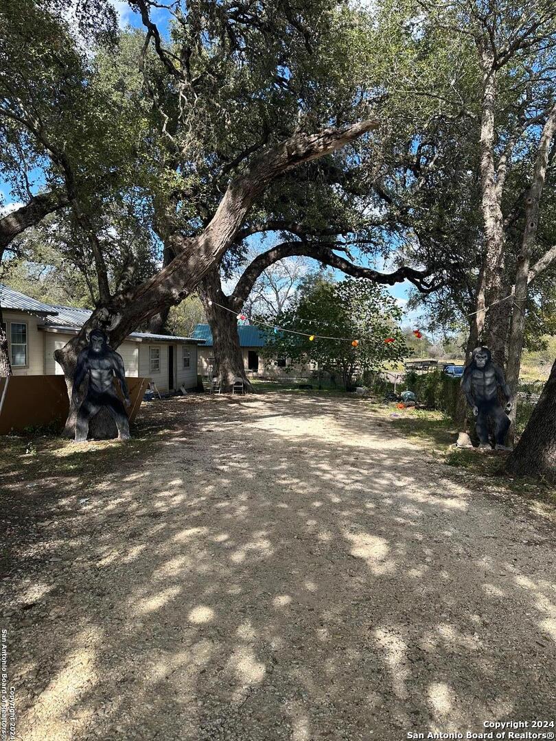 14075 Sherwood Atascosa TX 78002