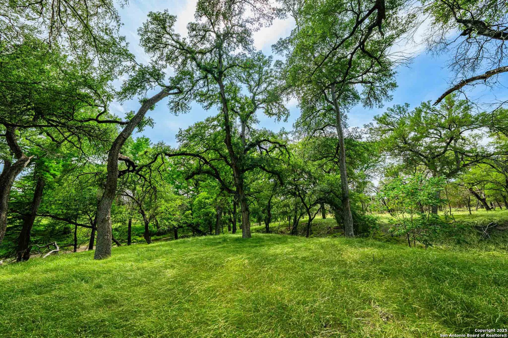 505 Fm 473 Comfort TX 78013