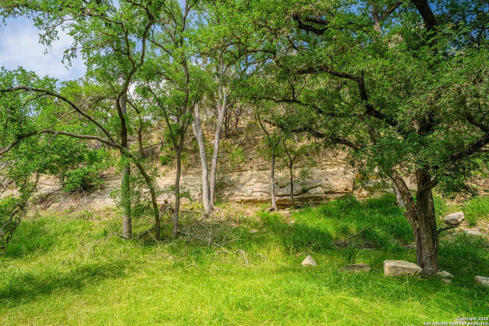 505 Fm 473 Comfort TX 78013