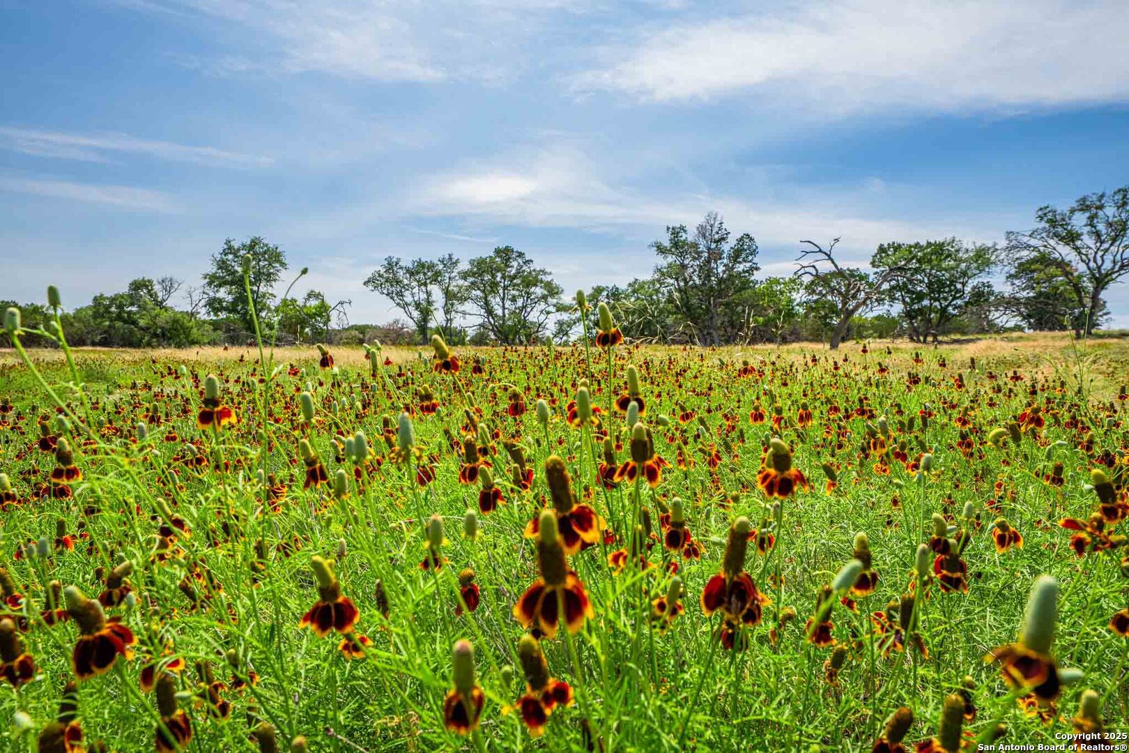 505 Fm 473 Comfort TX 78013