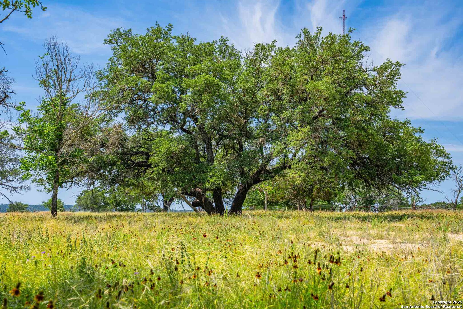 505 Fm 473 Comfort TX 78013