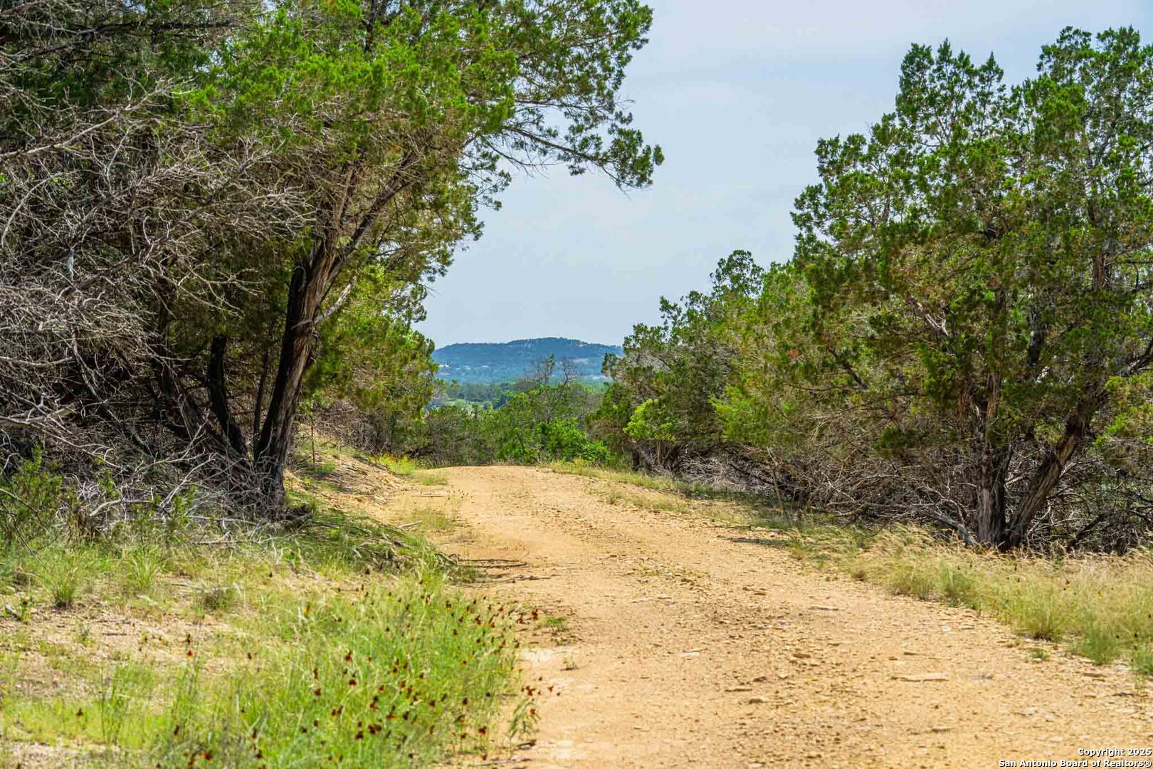 505 Fm 473 Comfort TX 78013