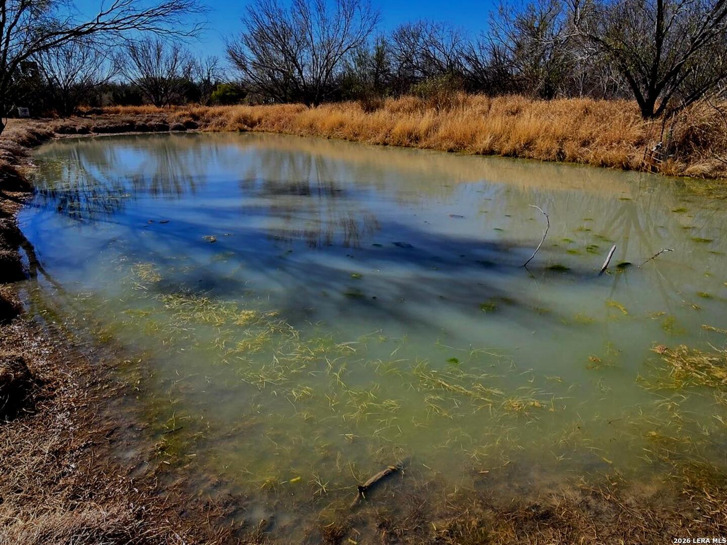 1297 Fm 1433 Carrizo Springs TX 78834