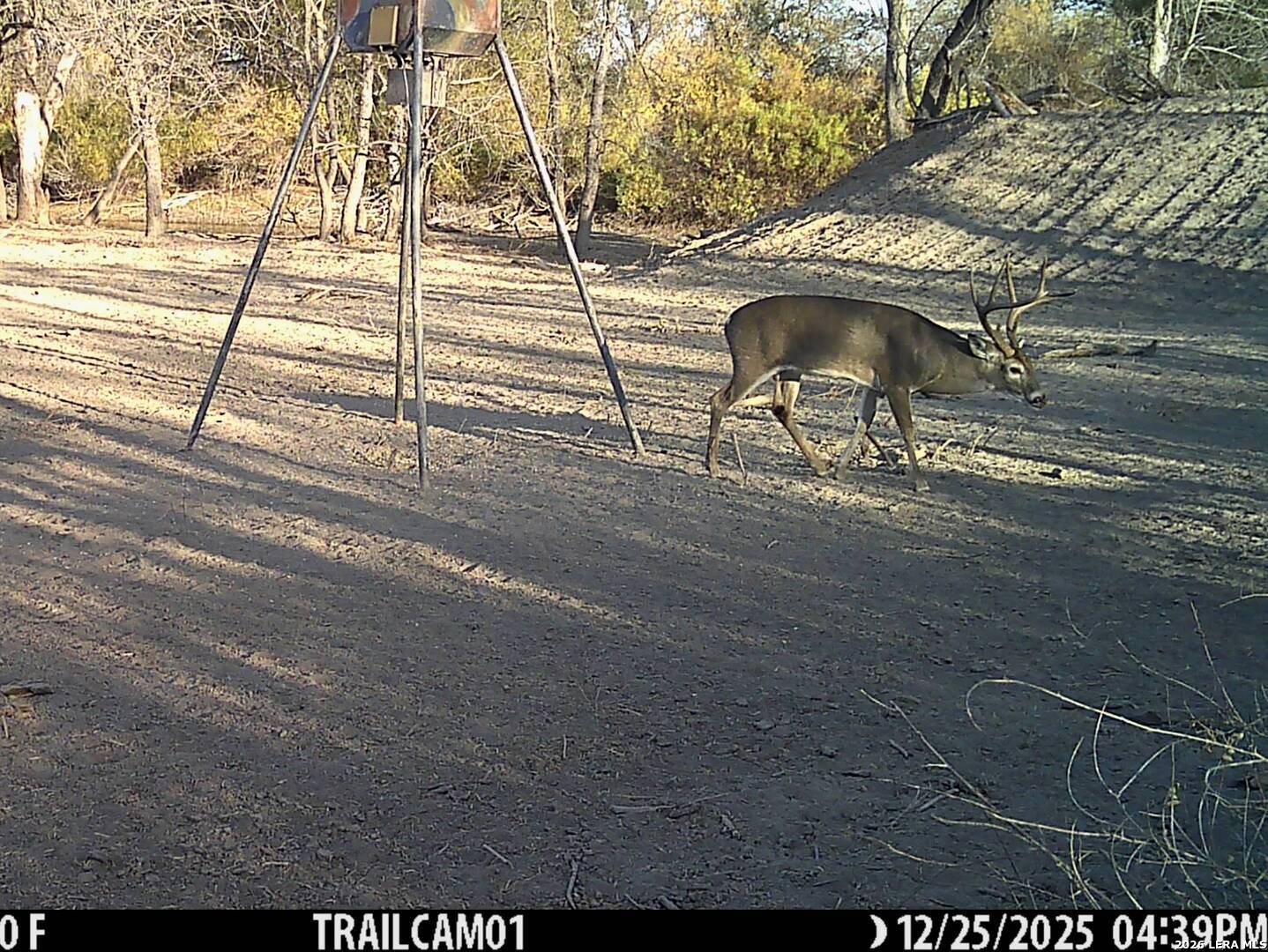 1297 Fm 1433 Carrizo Springs TX 78834