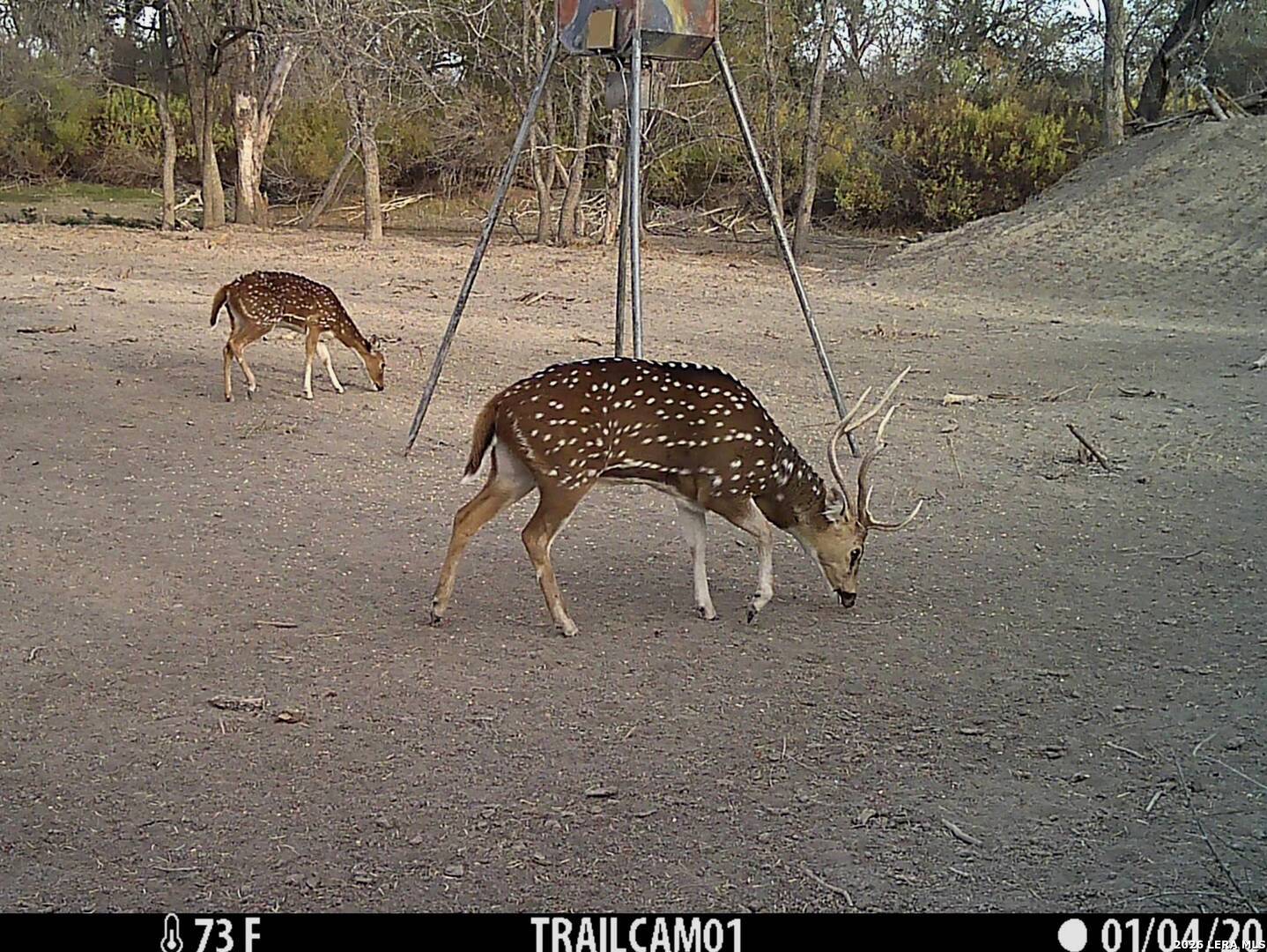 1297 Fm 1433 Carrizo Springs TX 78834