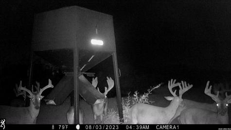 1297 Fm 1433 Carrizo Springs TX 78834