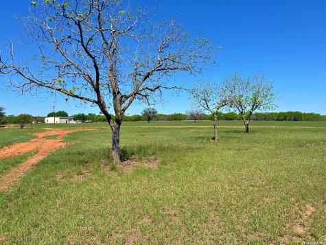 3265 Highway 97 Jourdanton TX 78026