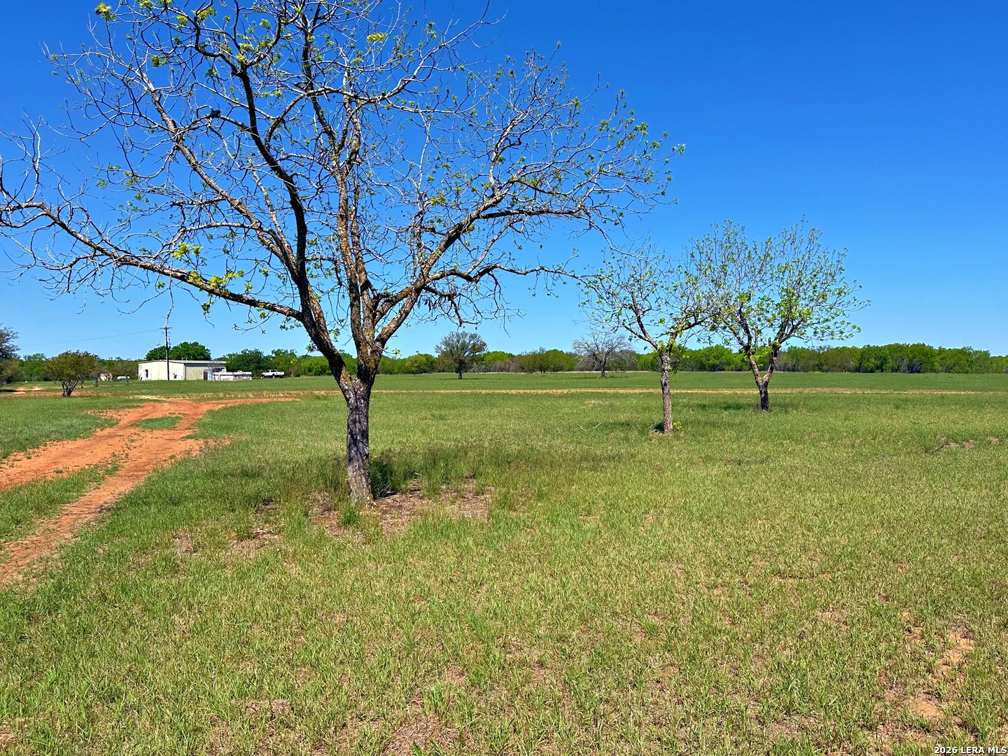 3265 Highway 97 Jourdanton TX 78026