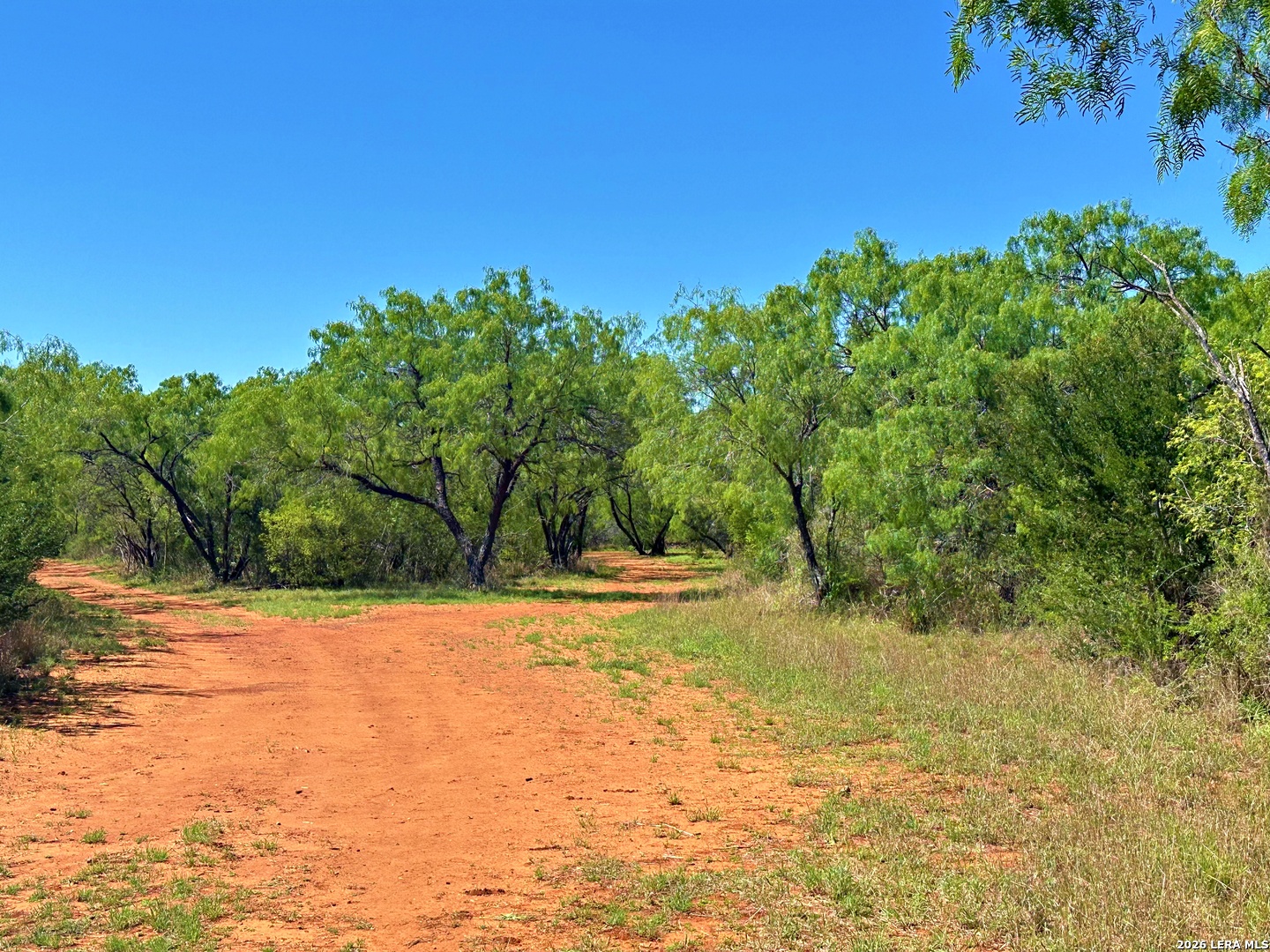 3265 Highway 97 Jourdanton TX 78026