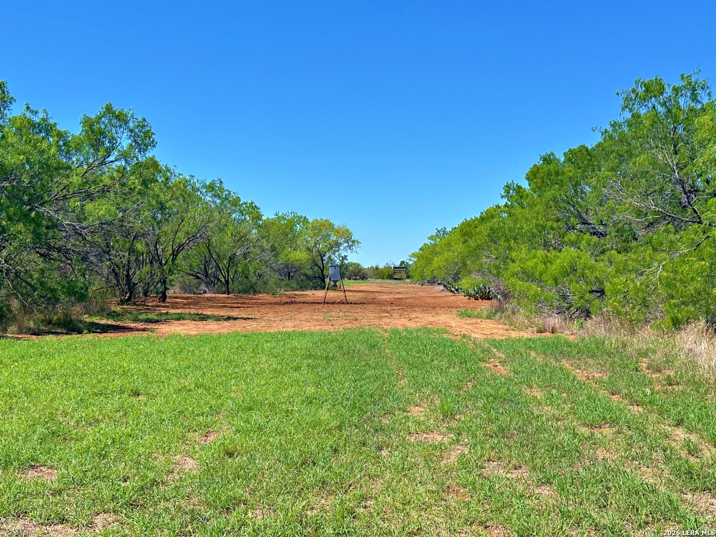 3265 Highway 97 Jourdanton TX 78026