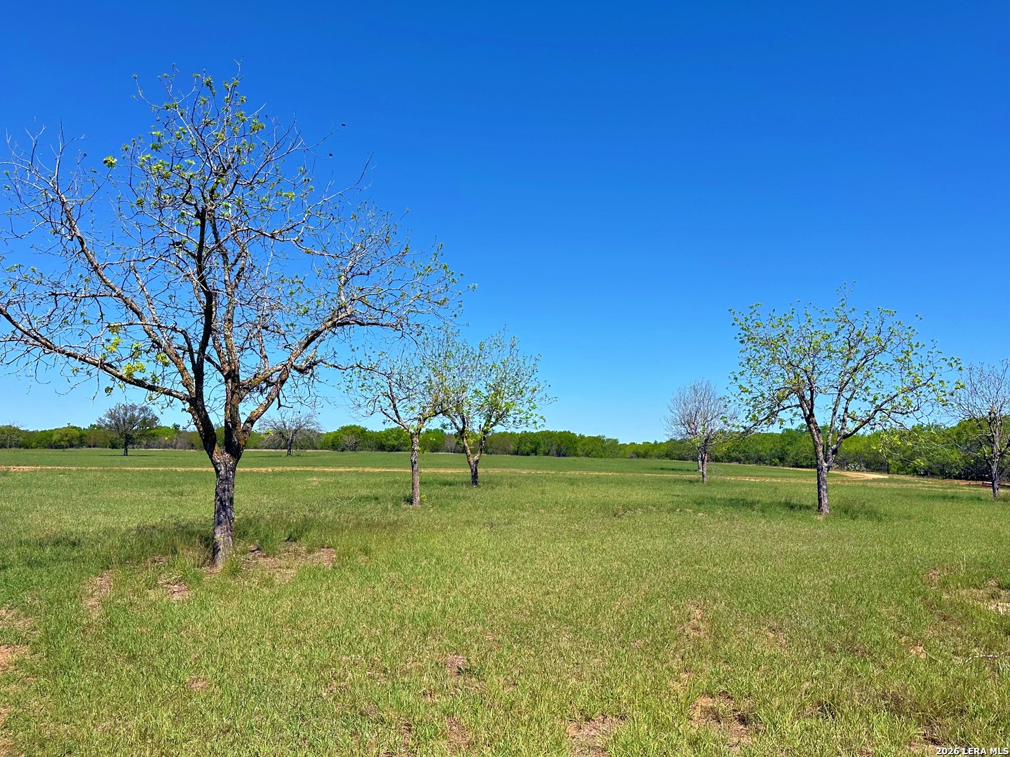 3265 Highway 97 Jourdanton TX 78026