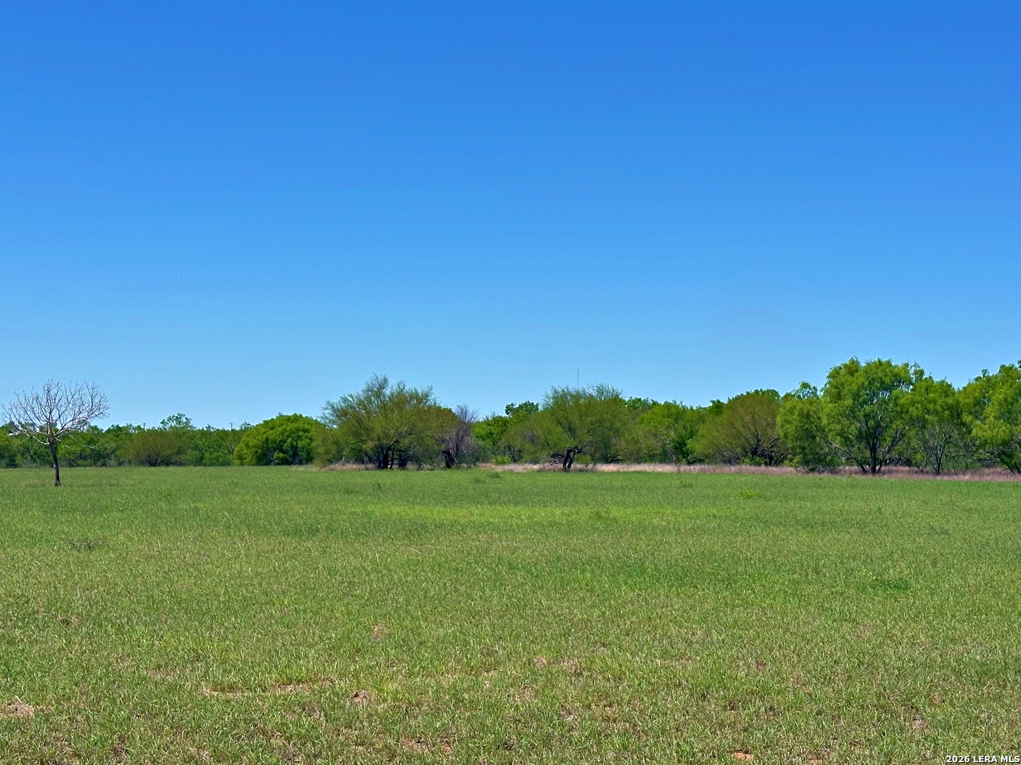 3265 Highway 97 Jourdanton TX 78026