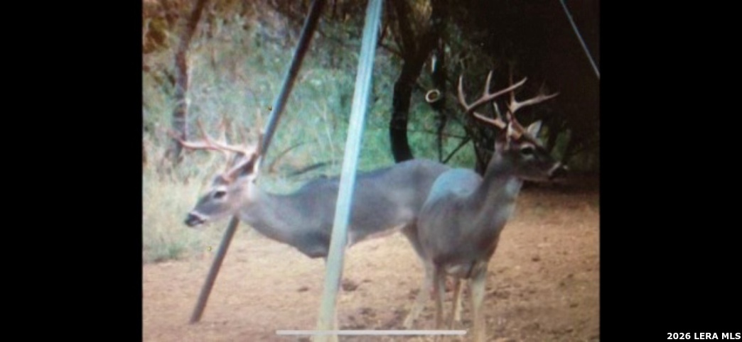 3265 Highway 97 Jourdanton TX 78026