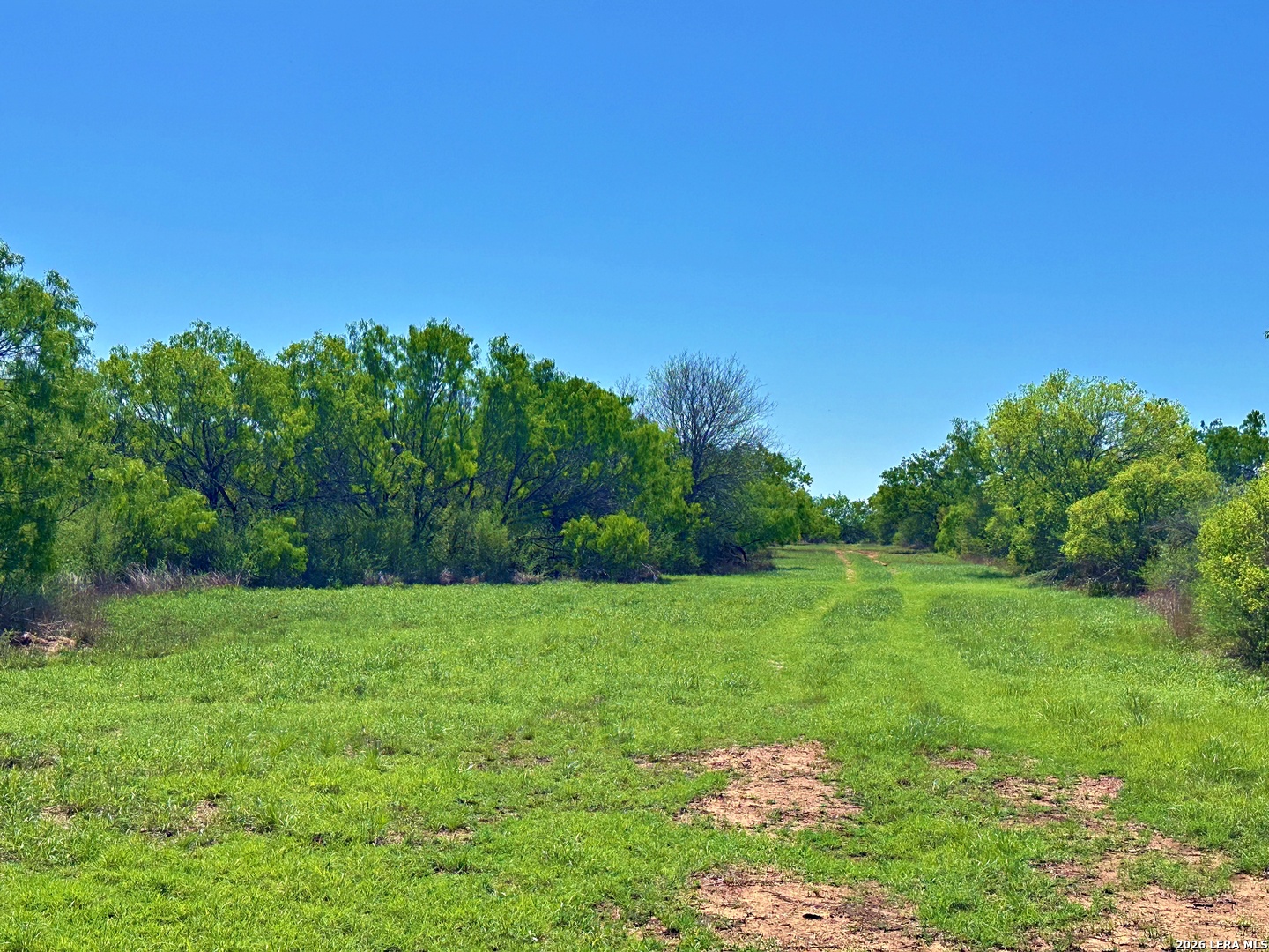 3265 Highway 97 Jourdanton TX 78026