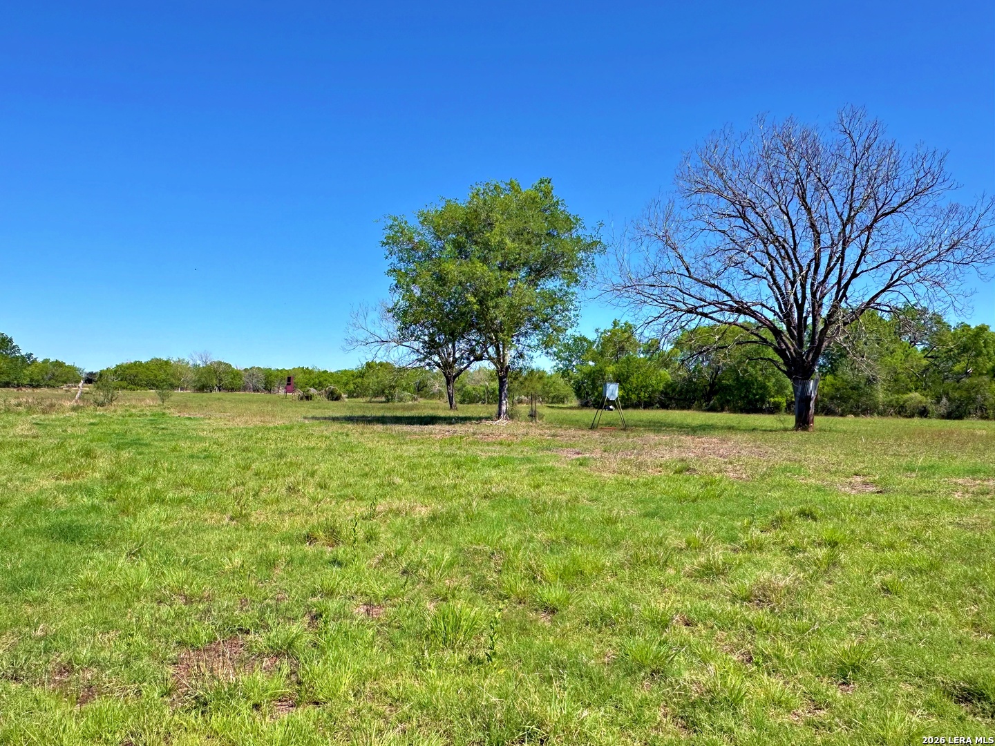 3265 Highway 97 Jourdanton TX 78026