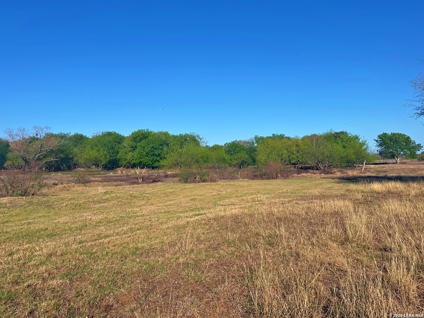 3265 Highway 97 Jourdanton TX 78026